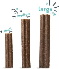 Edgard & Cooper Doggy Dental Sticks Appel - Eucalyptusolie Medium -Hondenbenodigdheden Winkel 1023x1200