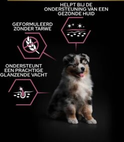 Pro Plan Medium Puppy Sensitive Skin - Honden Droogvoer - Zalm - 12 Kg -Hondenbenodigdheden Winkel 1048x1200 1