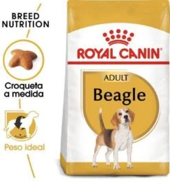 Royal Canin Beagle Adult - Hondenvoer - 12 Kg -Hondenbenodigdheden Winkel 1125x1200