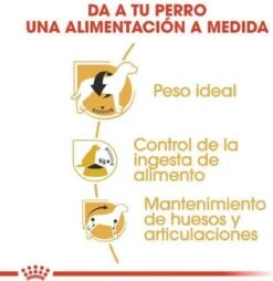 Royal Canin Beagle Adult - Hondenvoer - 12 Kg -Hondenbenodigdheden Winkel 1168x1200