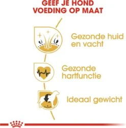 Royal Canin Golden Retriever 12 KG -Hondenbenodigdheden Winkel 1185x1200 1