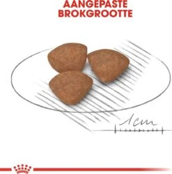 Royal Canin Mini Junior 8 KG -Hondenbenodigdheden Winkel 1188x1200