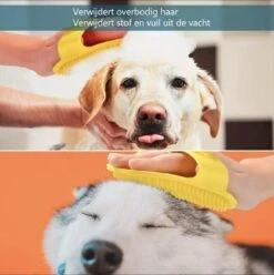 Reayou Kattenmand - Kattenkussen - Kattenbed Hondenkussen - Hondenmand - Grijs- 51 X 61 Cm -Hondenbenodigdheden Winkel 1197x1200 1