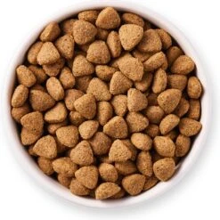Yarrah Dog Biologische Brokken Vega Baobab / Kokosolie (10 KG) -Hondenbenodigdheden Winkel 1198x1200 4