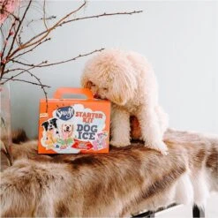 Smoofl Honden Lekkernij - Starter Kit Om Je Eigen Honden Ijs Te Maken, Kit Met 2 Ijsmixen Voor Honden, Pindakaas En Aardbei Smaak, Een Pootvormige Silicone Vorm - Voor 4 Hondenijsjes -Hondenbenodigdheden Winkel 1199x1200 3