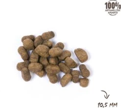 VITALstyle ADULT - Hondenbrokken - 12 Kg 12 VITALstyle ADULT - Hondenbrokken - 12 Kg -Hondenbenodigdheden Winkel 1200x1067 1