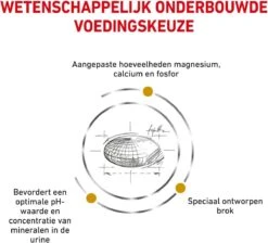 Royal Canin Urinary S/O Small Dog - Hondenvoer - 4 Kg -Hondenbenodigdheden Winkel 1200x1090