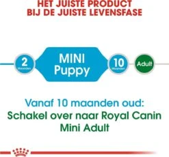 Royal Canin Mini Junior 8 KG -Hondenbenodigdheden Winkel 1200x1116