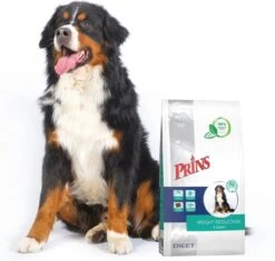 Prins Procare Croque Dieet Gewichtscontrole&Diabetes Gevogelte - - 10 Kg -Hondenbenodigdheden Winkel 1200x1143