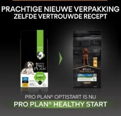 Pro Plan Healthy Start Puppy Large Athletic - Honden Droogvoer - Kip - 12 Kg -Hondenbenodigdheden Winkel 1200x1145