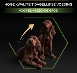 Pro Plan Healthy Start Puppy Large Athletic - Honden Droogvoer - Kip - 12 Kg -Hondenbenodigdheden Winkel 1200x1146 3