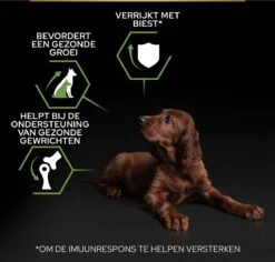 Pro Plan Healthy Start Puppy Large Athletic - Honden Droogvoer - Kip - 12 Kg -Hondenbenodigdheden Winkel 1200x1146 4