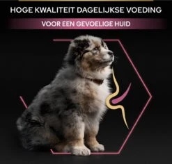 Pro Plan Medium Puppy Sensitive Skin - Honden Droogvoer - Zalm - 12 Kg -Hondenbenodigdheden Winkel 1200x1146 7