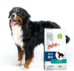 Prins Procare Croque Dieet Mobility Gevogelte - - 10 Kg -Hondenbenodigdheden Winkel 1200x1147 1