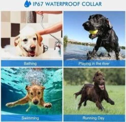 Anti Blafband EN Trainingshalsband In 1 - UNIEK SYSTEEM - 1000m Bereik - 100 Levels -Hondenbenodigdheden Winkel 1200x1154