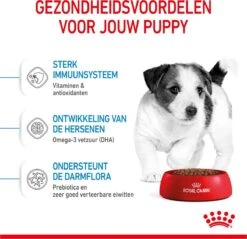 Royal Canin Mini Junior 8 KG -Hondenbenodigdheden Winkel 1200x1159 1