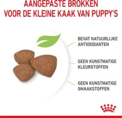 Royal Canin Mini Junior 8 KG -Hondenbenodigdheden Winkel 1200x1159 2