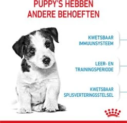Royal Canin Mini Junior 8 KG -Hondenbenodigdheden Winkel 1200x1159