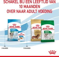 Royal Canin Mini Junior 8 KG -Hondenbenodigdheden Winkel 1200x1159 3