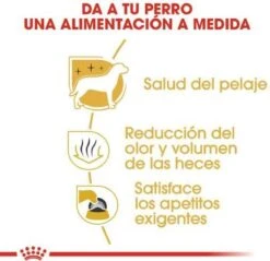 Royal Canin Maltese Adult 1.5 KG 18 Royal Canin Maltese Adult 1.5 KG -Hondenbenodigdheden Winkel 1200x1161 3