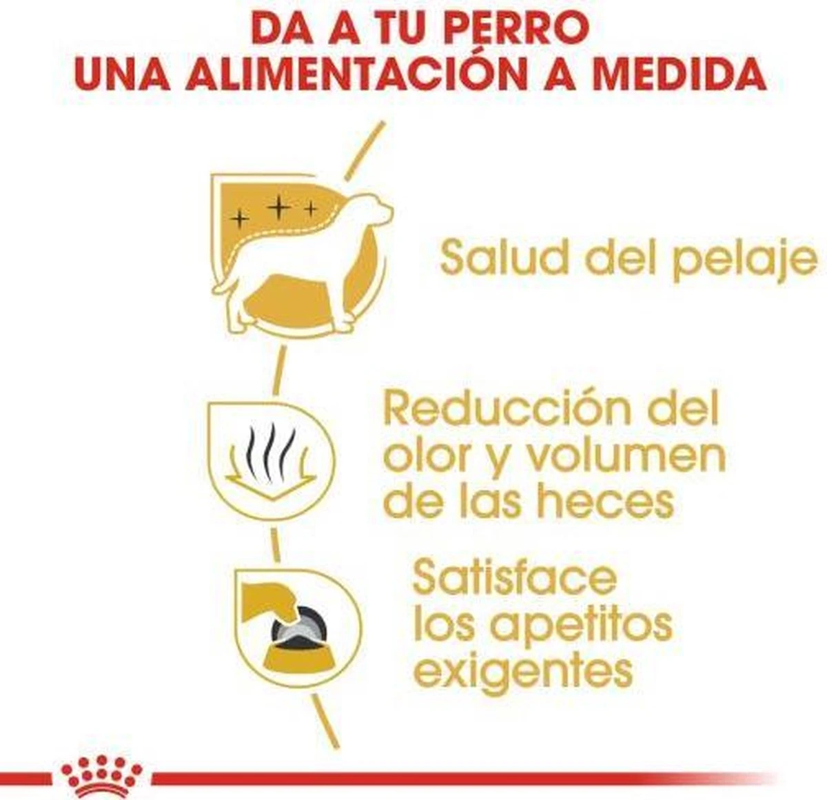 Royal Canin Maltese Adult 1.5 KG 7 Royal Canin Maltese Adult 1.5 KG - Afbeelding 7