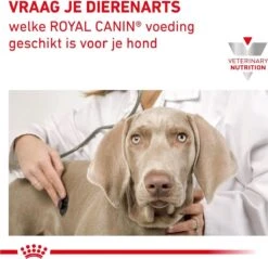 Royal Canin Gastro Intestinal - Hondenvoer - 7,5 Kg 18 Royal Canin Gastro Intestinal - Hondenvoer - 7,5 Kg -Hondenbenodigdheden Winkel 1200x1161 4