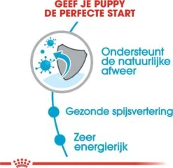 Royal Canin Mini Junior 8 KG -Hondenbenodigdheden Winkel 1200x1168