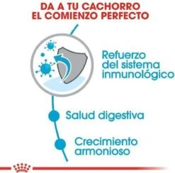 Royal Canin Mini Junior 8 KG -Hondenbenodigdheden Winkel 1200x1180 1