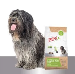 Prins Procare Hypoallergic Senior - Lam & Rijst - Hondenvoer - 15 Kg -Hondenbenodigdheden Winkel 1200x1184 1