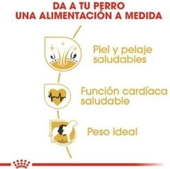 Royal Canin Golden Retriever 12 KG -Hondenbenodigdheden Winkel 1200x1195