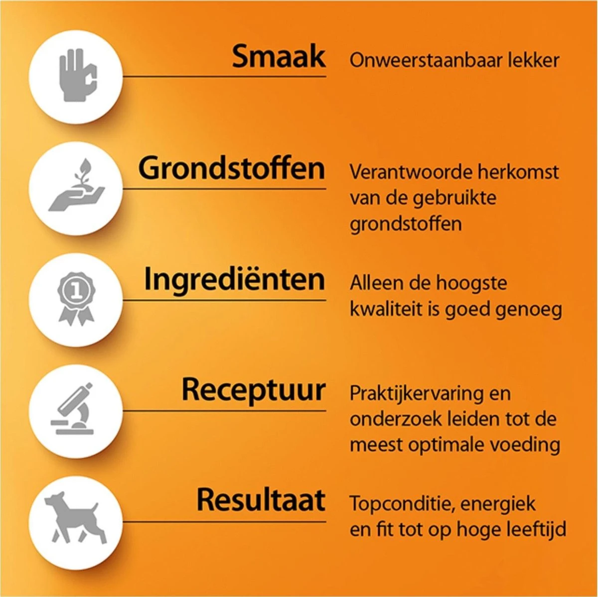 Fokker Dog Opti-Grow S Kip - Hondenvoer - 2.5 Kg 6 Fokker Dog Opti-Grow S Kip - Hondenvoer - 2.5 Kg - Afbeelding 6