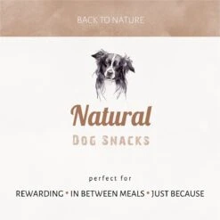 Antos Runderoor Smoked Rund Hondensnack - 280 G - 10 Stuks -Hondenbenodigdheden Winkel 1200x1199 8