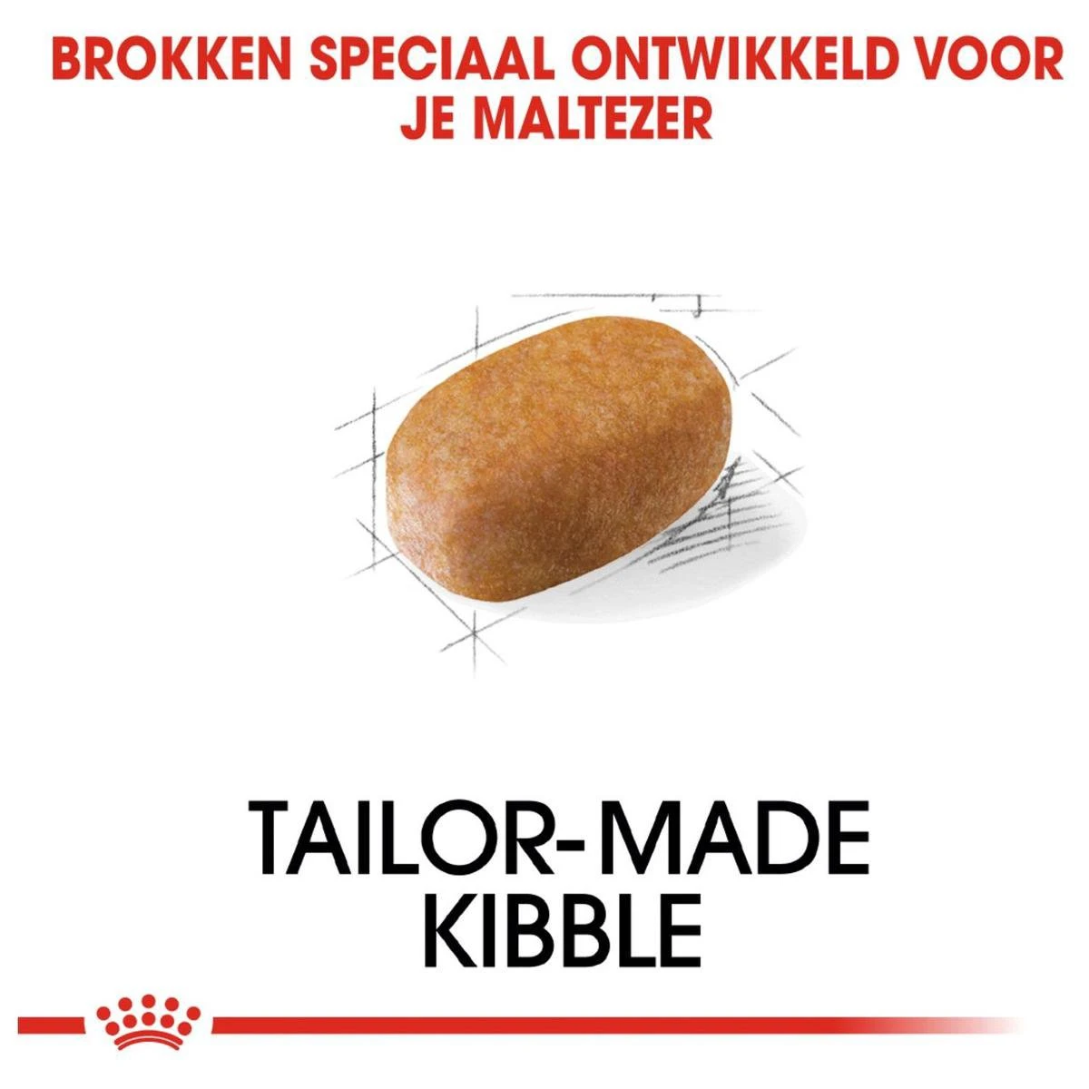 Royal Canin Maltese Adult 1.5 KG 3 Royal Canin Maltese Adult 1.5 KG - Afbeelding 3