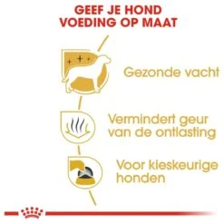 Royal Canin Maltese Adult 1.5 KG 15 Royal Canin Maltese Adult 1.5 KG -Hondenbenodigdheden Winkel 1200x1200 102