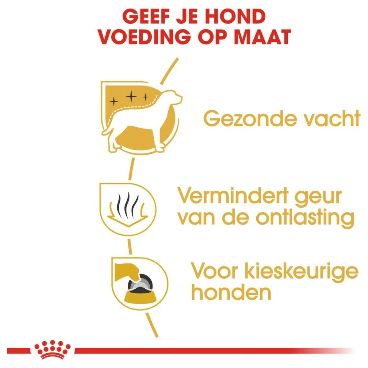 Royal Canin Maltese Adult 1.5 KG 4 Royal Canin Maltese Adult 1.5 KG - Afbeelding 4