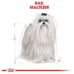 Royal Canin Maltese Adult 1.5 KG 17 Royal Canin Maltese Adult 1.5 KG -Hondenbenodigdheden Winkel 1200x1200 103