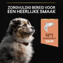 Pro Plan Medium Puppy Sensitive Skin - Honden Droogvoer - Zalm - 12 Kg -Hondenbenodigdheden Winkel 1200x1200 109