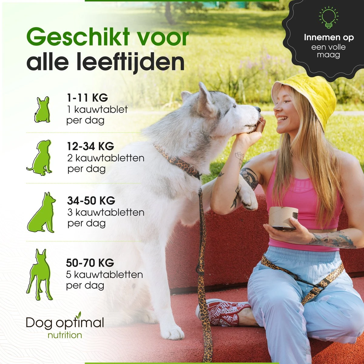 DOG OPTIMAL ALLERGY SUPPORT 90 Stuks - Allergie - Honden - Hondensnacks - Hondenkoekjes - Hondensupplementen - Honden - Puppy - Hondenvoeding - Weerstand - Supplement 2 DOG OPTIMAL ALLERGY SUPPORT 90 Stuks - Allergie - Honden - Hondensnacks - Hondenkoekjes - Hondensupplementen - Honden - Puppy - Hondenvoeding - Weerstand - Supplement - Afbeelding 2