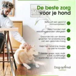 DOG OPTIMAL ALLERGY SUPPORT 90 Stuks - Allergie - Honden - Hondensnacks - Hondenkoekjes - Hondensupplementen - Honden - Puppy - Hondenvoeding - Weerstand - Supplement 12 DOG OPTIMAL ALLERGY SUPPORT 90 Stuks - Allergie - Honden - Hondensnacks - Hondenkoekjes - Hondensupplementen - Honden - Puppy - Hondenvoeding - Weerstand - Supplement -Hondenbenodigdheden Winkel 1200x1200 114