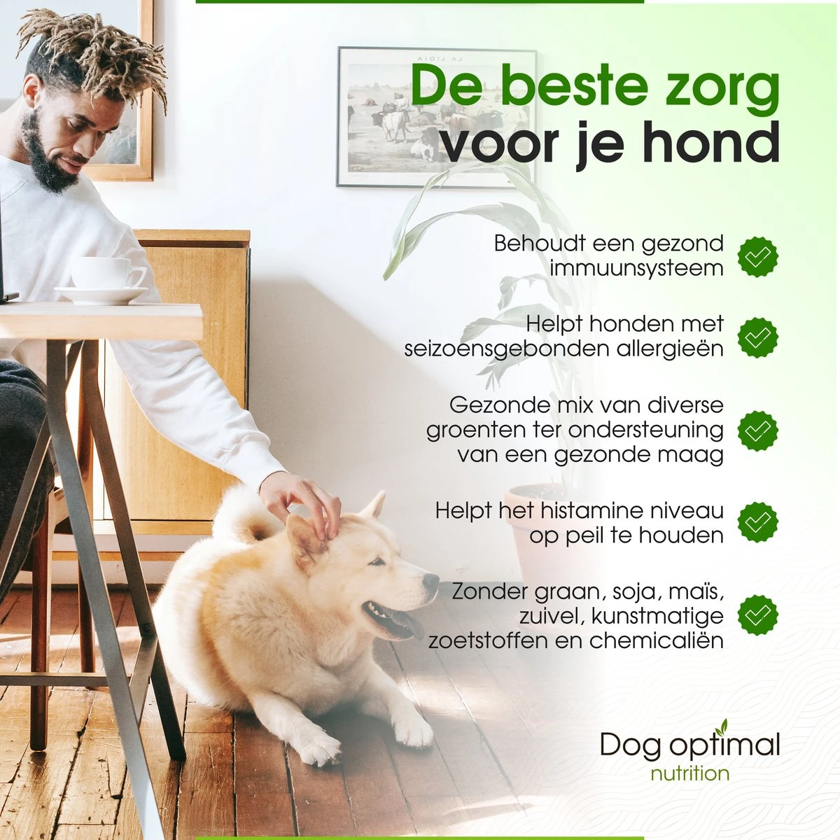 DOG OPTIMAL ALLERGY SUPPORT 90 Stuks - Allergie - Honden - Hondensnacks - Hondenkoekjes - Hondensupplementen - Honden - Puppy - Hondenvoeding - Weerstand - Supplement 4 DOG OPTIMAL ALLERGY SUPPORT 90 Stuks - Allergie - Honden - Hondensnacks - Hondenkoekjes - Hondensupplementen - Honden - Puppy - Hondenvoeding - Weerstand - Supplement - Afbeelding 4