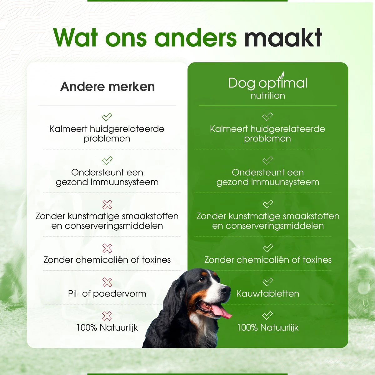 DOG OPTIMAL ALLERGY SUPPORT 90 Stuks - Allergie - Honden - Hondensnacks - Hondenkoekjes - Hondensupplementen - Honden - Puppy - Hondenvoeding - Weerstand - Supplement 5 DOG OPTIMAL ALLERGY SUPPORT 90 Stuks - Allergie - Honden - Hondensnacks - Hondenkoekjes - Hondensupplementen - Honden - Puppy - Hondenvoeding - Weerstand - Supplement - Afbeelding 5