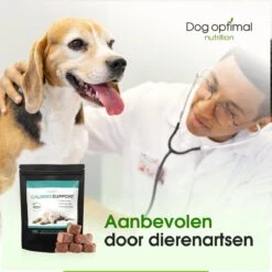 RUST EN KALMEREN CALMING Support 90 Stuks - Kalmeren - Antistressmiddel - Hond - Hondenkoekjes - Hondensupplementen - Honden - Puppy - Hondenvoeding -Hondenbenodigdheden Winkel 1200x1200 123