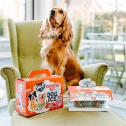 Smoofl Honden Lekkernij - Starter Kit Om Je Eigen Honden Ijs Te Maken, Kit Met 2 Ijsmixen Voor Honden, Pindakaas En Aardbei Smaak, Een Pootvormige Silicone Vorm - Voor 4 Hondenijsjes -Hondenbenodigdheden Winkel 1200x1200 128
