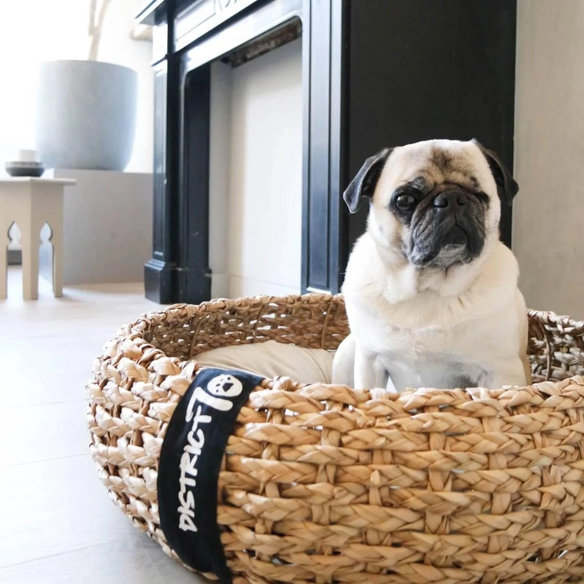 District 70 COCOON - Luxe Hondenmand Van Duurzaam Hoogwaardig Riet Met Zacht Kussen - Maten S/M/L - Large 2 District 70 COCOON - Luxe Hondenmand Van Duurzaam Hoogwaardig Riet Met Zacht Kussen - Maten S/M/L - Large - Afbeelding 2