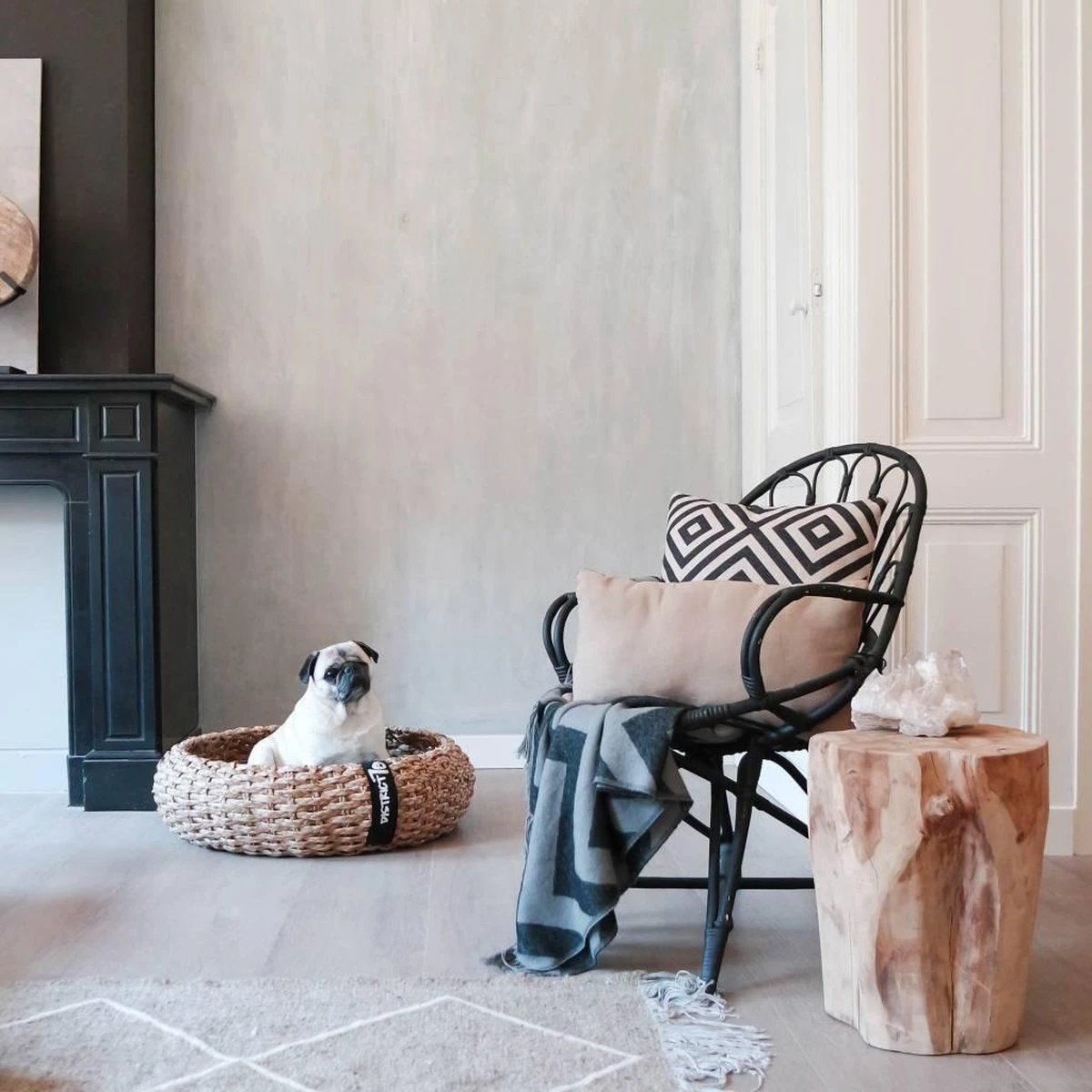 District 70 COCOON - Luxe Hondenmand Van Duurzaam Hoogwaardig Riet Met Zacht Kussen - Maten S/M/L - Large 3 District 70 COCOON - Luxe Hondenmand Van Duurzaam Hoogwaardig Riet Met Zacht Kussen - Maten S/M/L - Large - Afbeelding 3