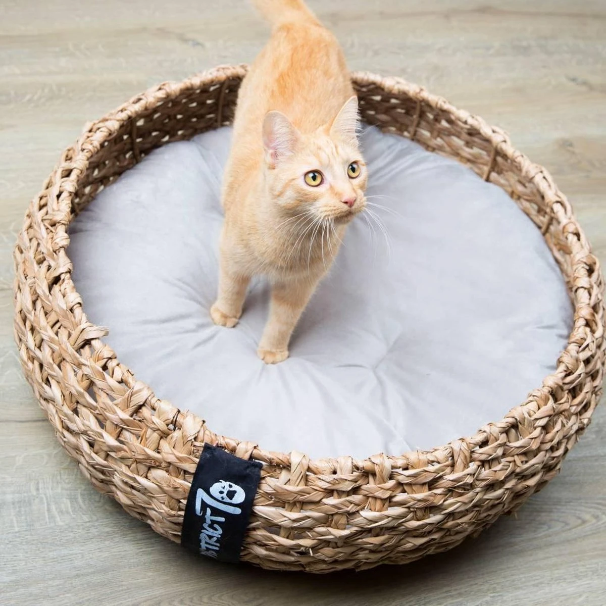 District 70 COCOON - Luxe Hondenmand Van Duurzaam Hoogwaardig Riet Met Zacht Kussen - Maten S/M/L - Large 6 District 70 COCOON - Luxe Hondenmand Van Duurzaam Hoogwaardig Riet Met Zacht Kussen - Maten S/M/L - Large - Afbeelding 6