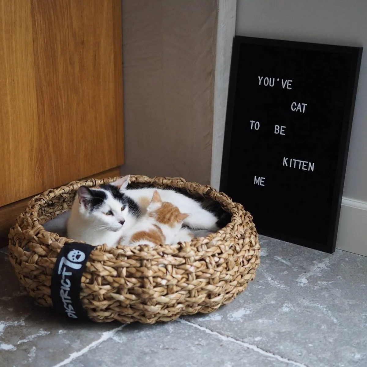 District 70 COCOON - Luxe Hondenmand Van Duurzaam Hoogwaardig Riet Met Zacht Kussen - Maten S/M/L - Large 7 District 70 COCOON - Luxe Hondenmand Van Duurzaam Hoogwaardig Riet Met Zacht Kussen - Maten S/M/L - Large - Afbeelding 7