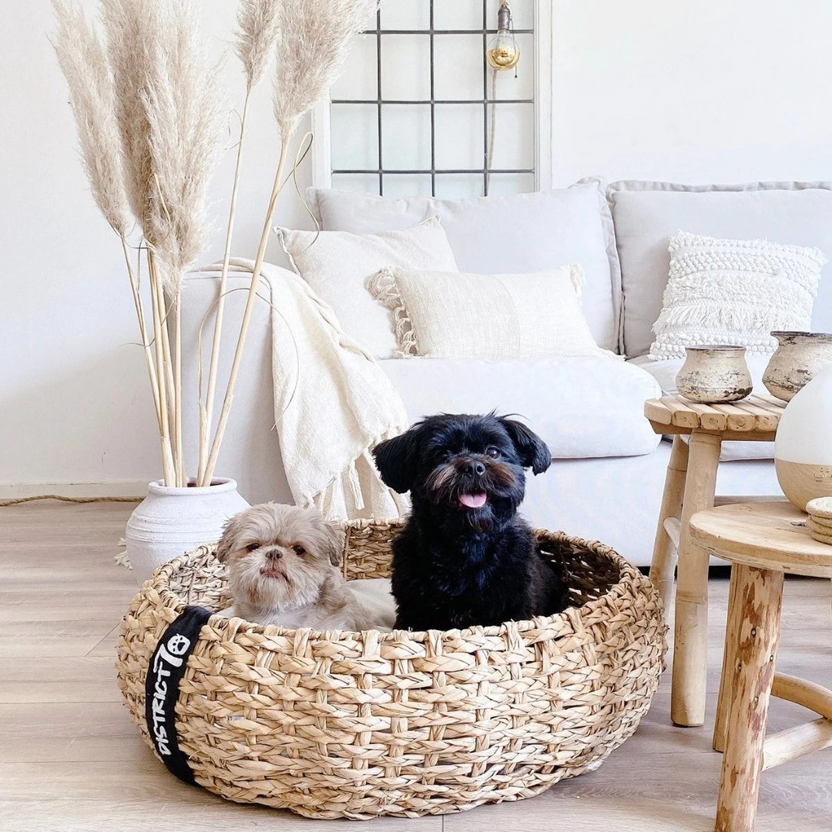 District 70 COCOON - Luxe Hondenmand Van Duurzaam Hoogwaardig Riet Met Zacht Kussen - Maten S/M/L - Large 11 District 70 COCOON - Luxe Hondenmand Van Duurzaam Hoogwaardig Riet Met Zacht Kussen - Maten S/M/L - Large - Afbeelding 11