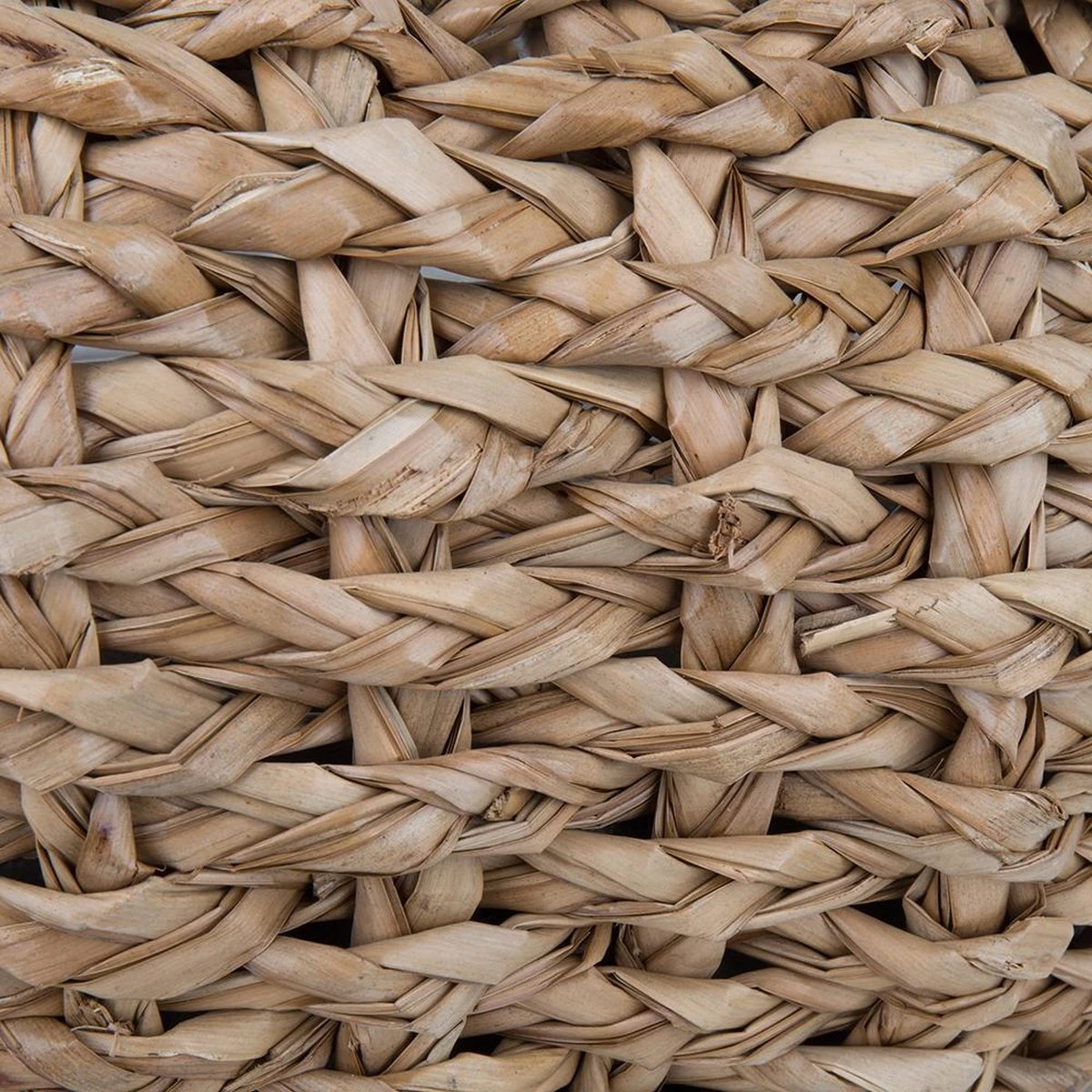 District 70 COCOON - Luxe Hondenmand Van Duurzaam Hoogwaardig Riet Met Zacht Kussen - Maten S/M/L - Large 14 District 70 COCOON - Luxe Hondenmand Van Duurzaam Hoogwaardig Riet Met Zacht Kussen - Maten S/M/L - Large - Afbeelding 14