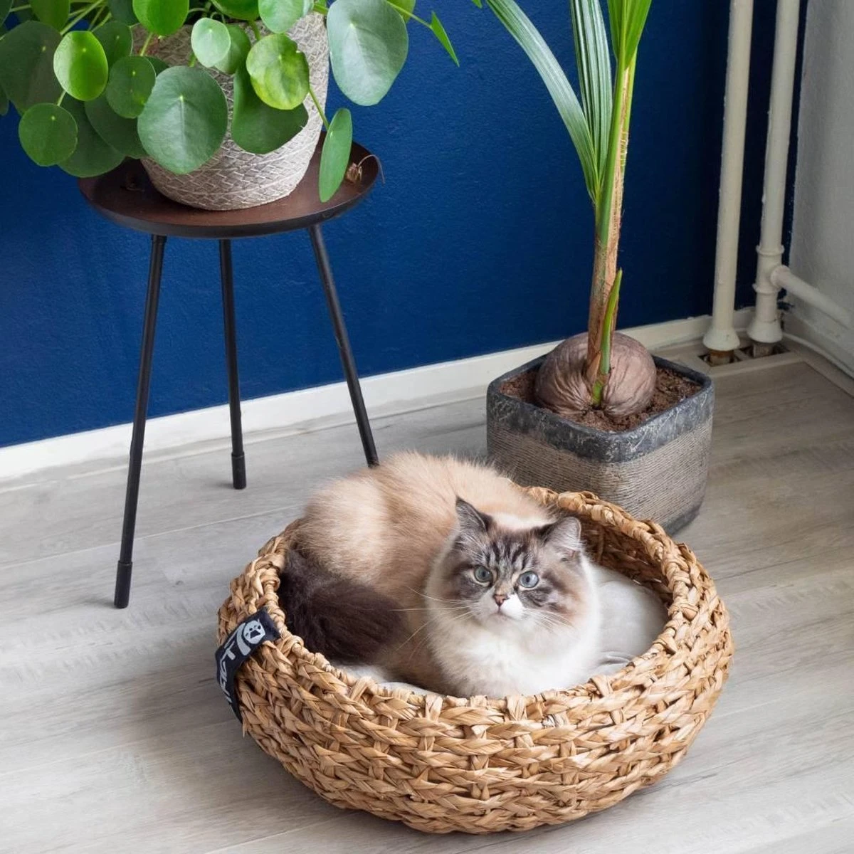 District 70 COCOON - Luxe Hondenmand Van Duurzaam Hoogwaardig Riet Met Zacht Kussen - Maten S/M/L - Large 16 District 70 COCOON - Luxe Hondenmand Van Duurzaam Hoogwaardig Riet Met Zacht Kussen - Maten S/M/L - Large - Afbeelding 16